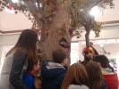 Animazione natalizia Albi l'albero parlante - Prestige Eventi