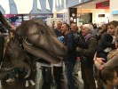 Dinosauro vivo spettacolo interattivo di artisti di strada - Prestige Eventi