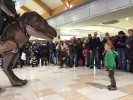 Dinosauro vivo spettacolo artisti di strada - Prestige Eventi