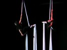 Spettacolo circense di acrobazie aeree su tessuti - Prestige Eventi