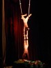 Circus show - Aerial Silk